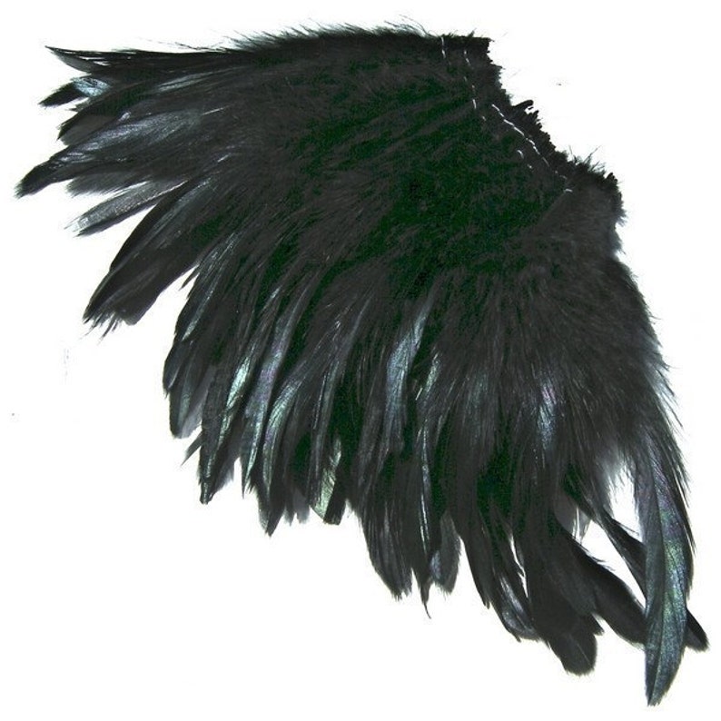 May include: A single decorative wing crafted from layered black feathers. The structure features a dense arrangement of soft downy feathers near the base, transitioning into longer, pointed, and slightly iridescent black feathers along the outer edge.