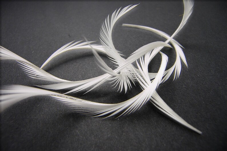PURE WHITE CURLED Feather Biot Swords Select Your Quantity