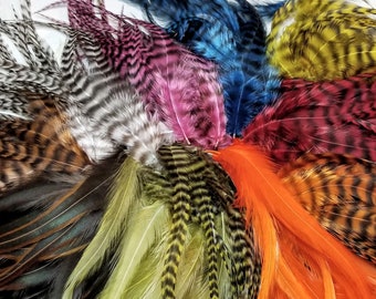 PICK YOUR COLORS 5 to 6" Long Grizzly and Solid Rooster Feathers, Pick Color and Quantity Craft Feathers