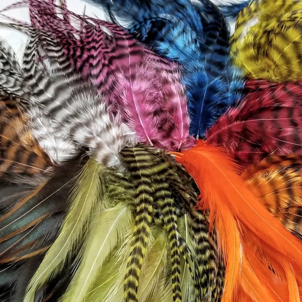 PICK YOUR COLORS 5 to 6" Long Grizzly and Solid Rooster Feathers, Pick Color and Quantity Craft Feathers