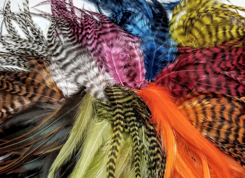 May include: Assortment of pheasant feathers in various colors, including black, white, brown, pink, red, orange, yellow, and blue. The feathers have a striped pattern and are arranged in a fan shape.