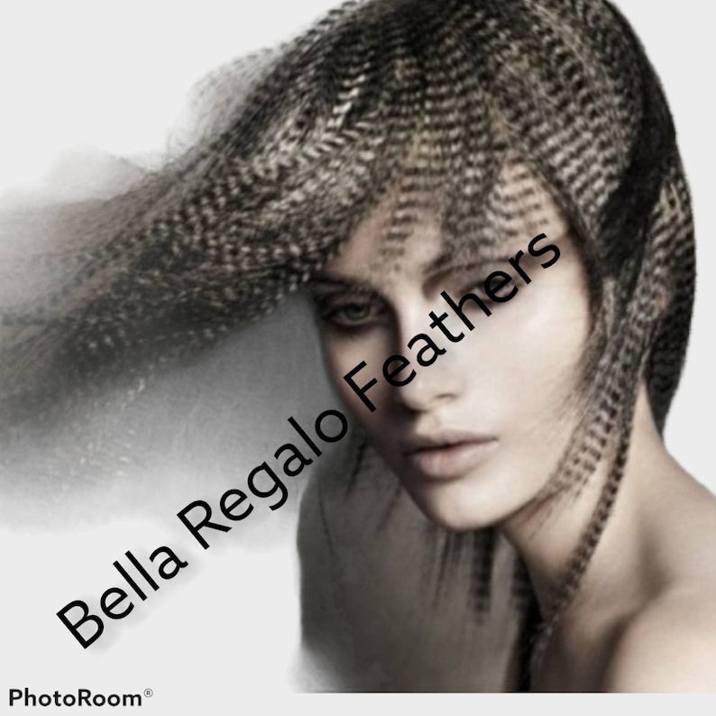 LOOK GOAL 3 Euro Feathers + 3 Beads, Premium Hair Feather Extensions Pick Color Length image 8