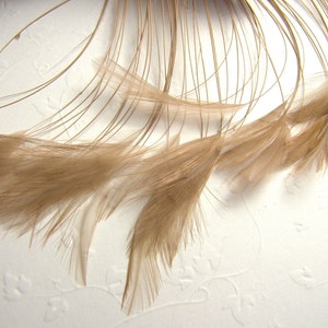 Rooster Eyelash Feathers, PICK YOUR COLOR and Quantity Small Stripped Coque Feathers Millinery Costume Fursuit Bridal Floral Accessories Beige