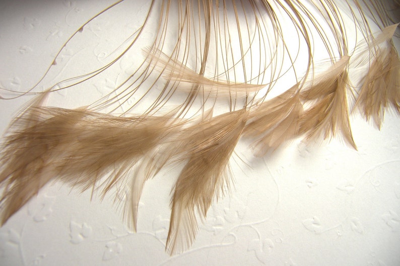 Rooster Eyelash Feathers, PICK YOUR COLOR and Quantity Small Stripped Coque Feathers Millinery Costume Fursuit Bridal Floral Accessories Beige