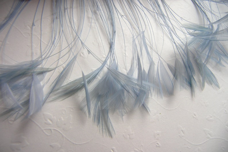 Rooster Eyelash Feathers, PICK YOUR COLOR and Quantity Small Stripped Coque Feathers Millinery Costume Fursuit Bridal Floral Accessories Baby Blue