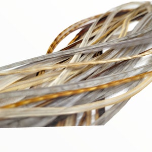 May include: A bundle of long, thin feathers with a mix of light brown, tan, and white colors. The feathers have a subtle sheen and are arranged in a loose, flowing pattern.