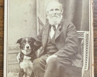 Antique Cabinet Card Photograph Distinguished Gentleman and His Dog Rockland Massachusetts