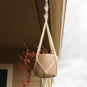 Op de afbeelding: Een beige macrame plantenhanger met een terracotta pot en een rode, bladerige plant die aan een wit plafond hangt.
