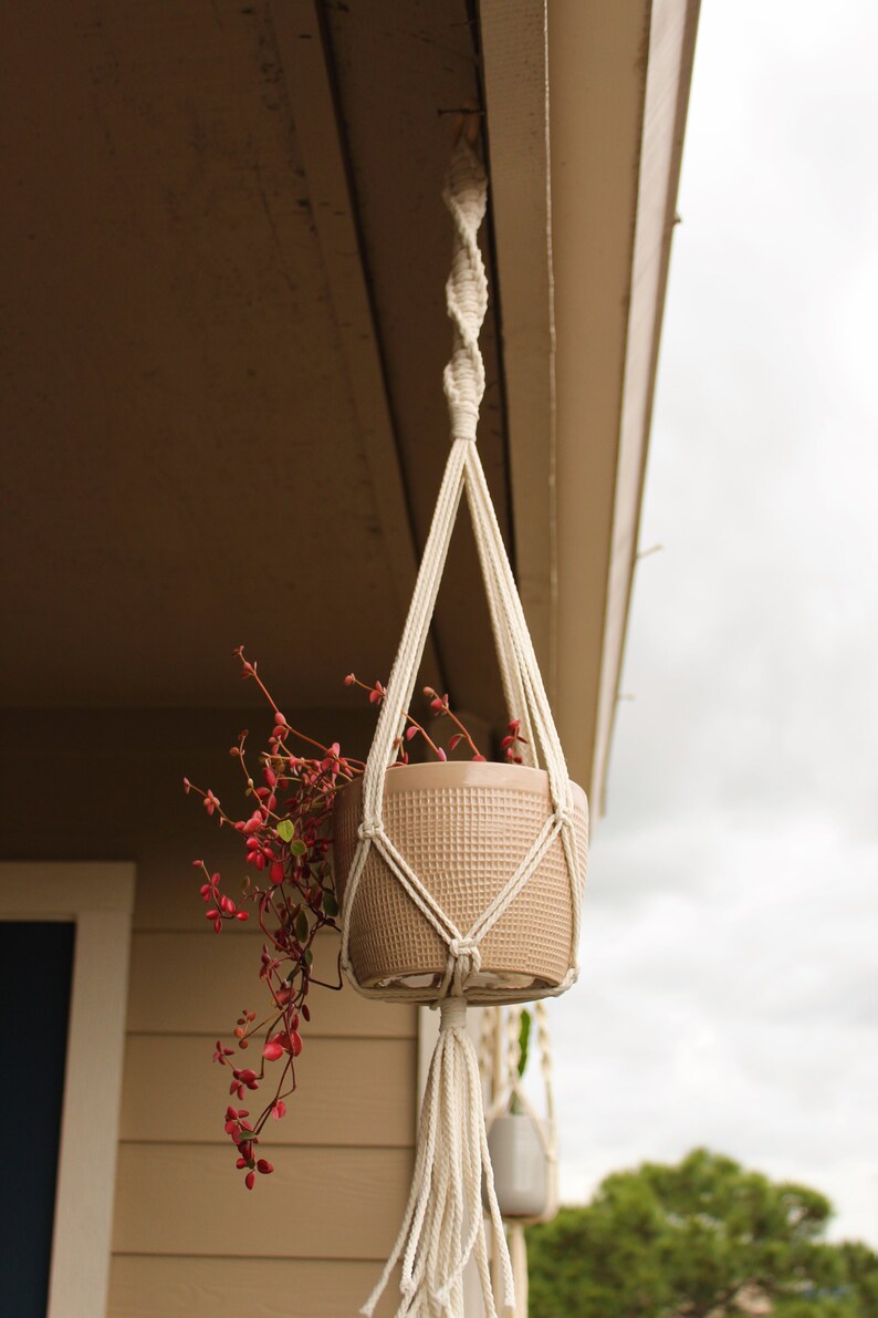 Op de afbeelding: Een beige macrame plantenhanger met een terracotta pot en een rode, bladerige plant die aan een wit plafond hangt.