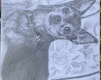 Photo de chien graphite