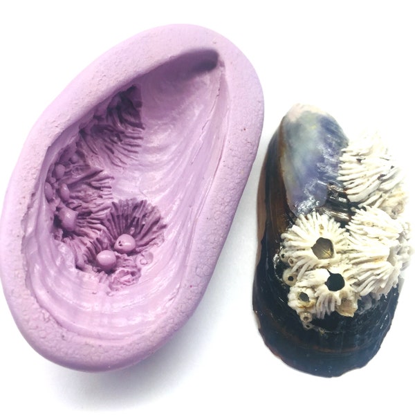 Mussel Shell with Barnacle Silicone Flex Mold - Cast your own shell for Candy, Fondant, Chocolate, Soap, Candle, Polymer Clay, Resin, PMC