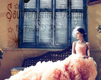 Premade Ebook Cover/ Elegant Ball Dress/ Romance