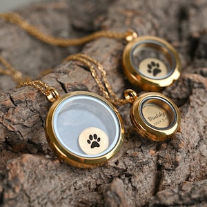 May include: Two gold necklaces with round glass locket pendants. One locket has a paw print charm inside and the other has the inscription "Buddy 2021.3.15".