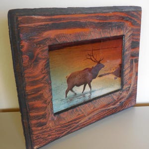 May include: A rustic wooden picture frame with a dark brown and orange finish. The frame features a photo of an elk standing in a body of water with a sunset in the background.