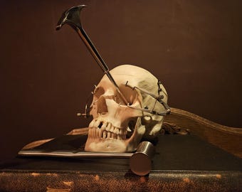 高品質レプリカのロボトミー手術セット – 医療珍品展示品