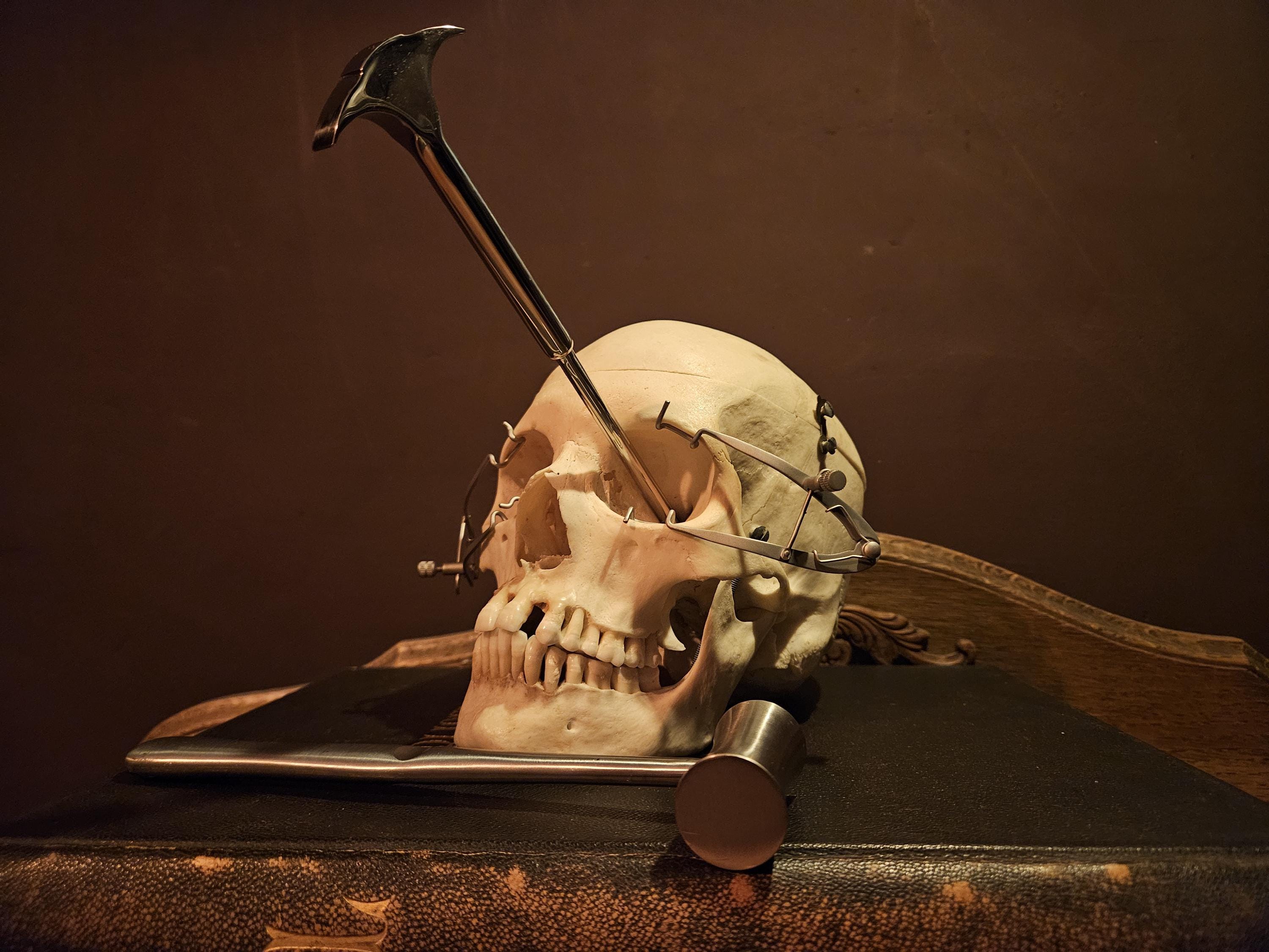 Lobotomy - Etsy 日本