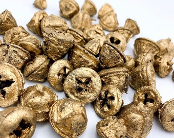 Gold Eucalyptus Pods - Vase Filler, Boho Wedding Decor