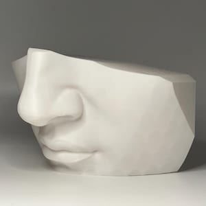 May include: White plaster sculpture of a face, showing only the nose and mouth. The sculpture is angled to the side, with the nose facing the viewer.