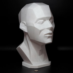 Art Planar head sculpture, planes of the face, asaro head, art reference