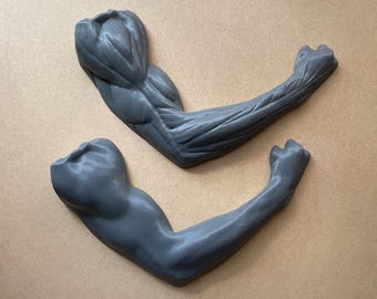 Wall Art: 3D Printed Arm Anatomy Model, Artist Reference