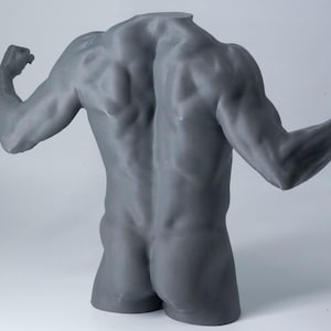 Könnte beinhalten: Graue Skulptur eines muskulösen Torsos mit angewinkelten Armen. Der Rücken und die Arme sind sehr detailliert und zeigen die Muskeldefinition. Die Skulptur ist kopflos und steht auf einer schlichten weißen Oberfläche.