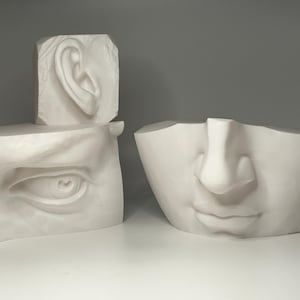 May include: Three white plaster casts of a human face, each showing a different feature: an eye, a nose, and an ear.