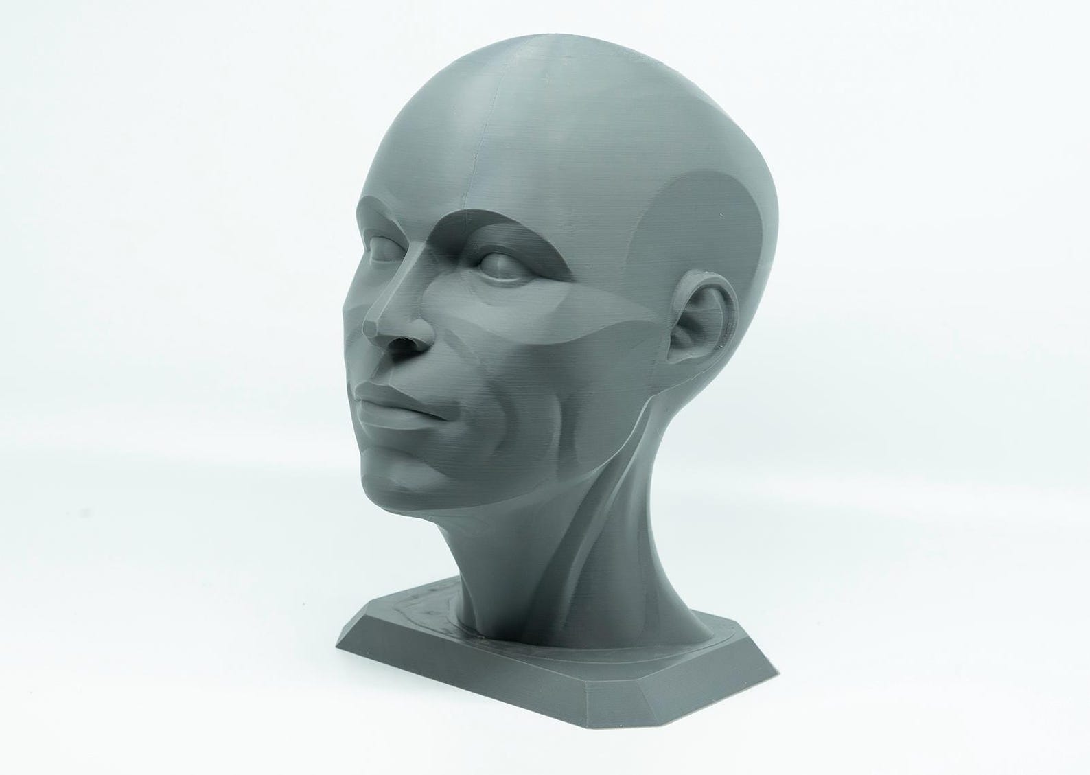 Planar Head Model, Artist Anatomy Sculpture Statue, Human Male Female