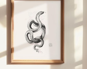 Spirit snake print, pencil drawing of a reptile guide in black and white, 5x7 and 8x10 print, hand drawn snake art, herpetology