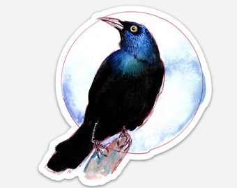Grackle Die Cut Sticker | Stickers Collection | Cat Rocketship | Birds, Nature, Wildlife, Animals | Gift for Her, Him, Them