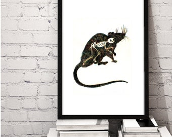 May include: A black and white illustration of a rat with a skeleton riding on its back. The rat is depicted in a sitting position with its tail curled behind it.
