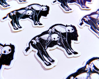 Buffalo skeleton sticker, bison water bottle sticker, laptop sticker, waterproof vinyl sticker of a buffalo  with a human skeleton inside