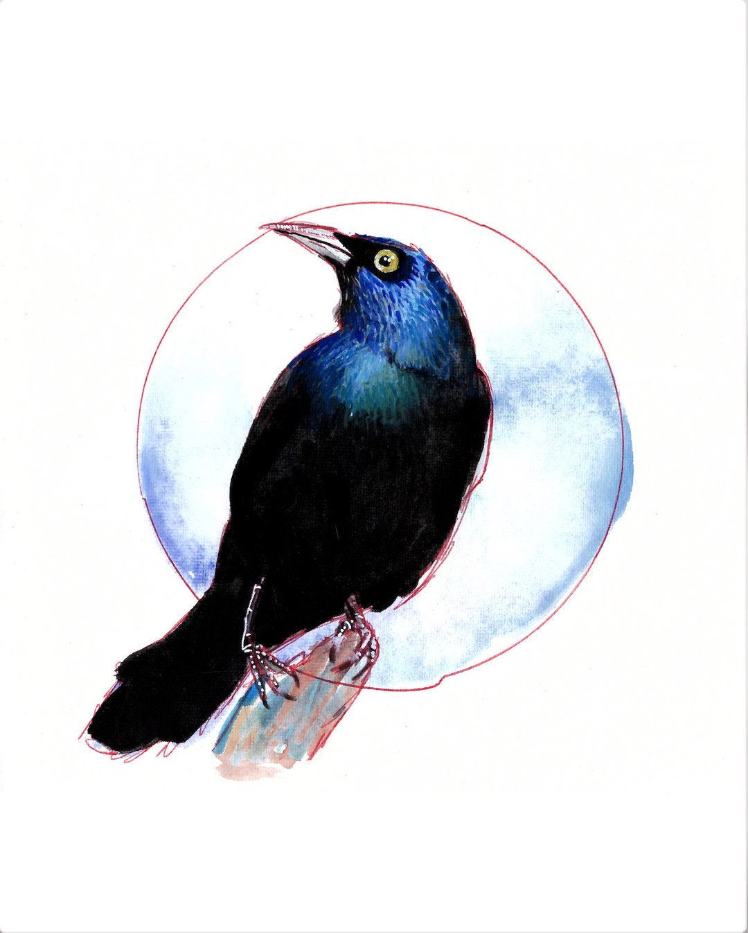 Grackle Print | 5x7 Print | 8x10 Print | Cat Rocketship | Hand Drawn ...