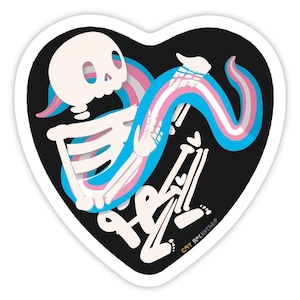 Trans rights sticker, I support trans people, transgender flag sticker, trans goth sticker, protect trans kids sticker, water bottle laptop