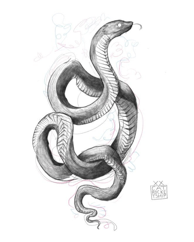 Snake Spirit Print Pencil Drawing of a Ghost Snake in Black and