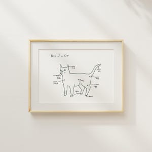 Parts of a Cat / Cat Petting Guide drawing 5x7 print, funny art