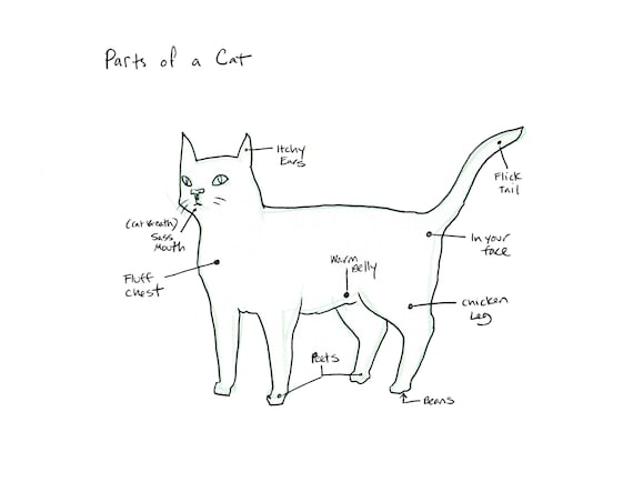 Parts of a Cat | Etsy
