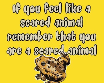 If you feel like a scared animal, remember you are a scared animal -- frog or toad sticker about anxiety, capitalism, modern life