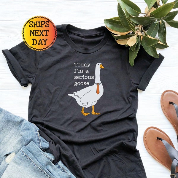Today I'm A Serious Goose Shirt, Funny Silly Goose T-Shirt, Goose Lover Gift for Men, Trendy Ironic Tee, Unisex Shirt, Gift For Him