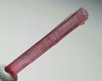 May include: A translucent, pink tourmaline crystal with visible striations. The elongated crystal has a slightly rough, textured surface and tapers towards the end. The gemstone is a vibrant shade of pink, with a subtle gradient of color.