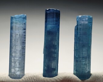 Puede incluir: Tres especímenes de cristales de turmalina azul. Los cristales son de un color azul vibrante, con estrías visibles y formaciones naturales. Los cristales se exhiben sobre un fondo neutro, destacando sus formas y texturas únicas. Ideal para coleccionistas.