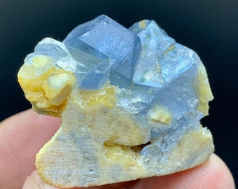 May include: A close-up of a natural mineral specimen featuring a cluster of light blue, cubic crystals. The crystals are set against a backdrop of yellow and beige matrix, creating a striking contrast. The mineral is held in a hand.