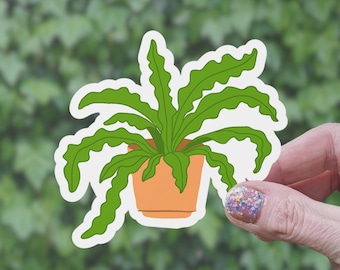 Crocodile Fern Matte Sticker: Houseplant Lover Gift