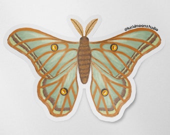 Spanish Moon Moth Glossy Vinyl Waterproof Sticker | Stationery Art | Die Cut Sticker Decal