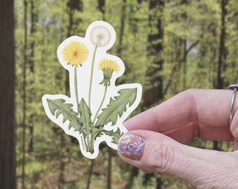 Watercolor Dandelion Vinyl Sticker | Weatherproof Cottagecore Water Bottle Sticker