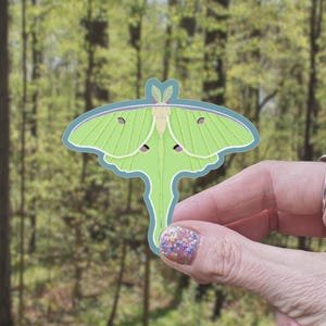 Luna Moth Matte Vinyl Sticker | Luna Moth Sticker, Nature Sticker, Laptop Sticker, Moth Sticker, Butterfly Sticker