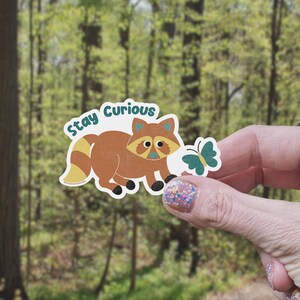 Stay Curious Raccoon Vinyl Sticker | Raccoon Sticker, Curious Sticker, Cute Sticker, Cute Raccoon Sticker, Trash Cat Sticker, Nature Sticker