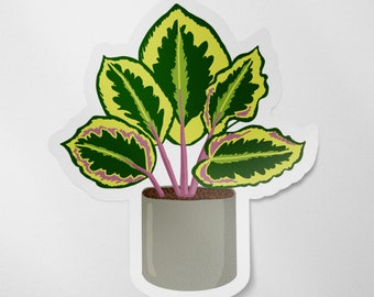 Calathea Plant Matte Vinyl Waterproof Sticker