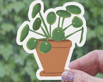 Chinese Money Plant Sticker: Pilea Peperomioides, Houseplant Vinyl Decal
