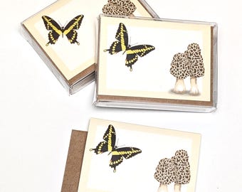 Swallowtail Butterfly & Morel Mushroom Mini Note Cards (Set of 8)