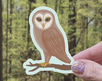 Starry Barn Owl Sticker: Matte Vinyl, Waterproof Nature Decal